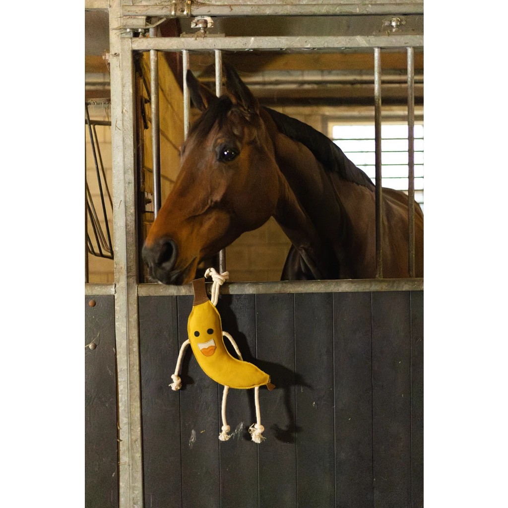 Bruin paard in de stal met een vrolijk bananen-speeltje aan de staldeur
